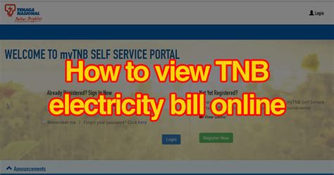 pay tnb bill online.